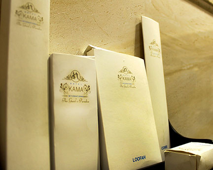 Hotel Kama International-Laounge